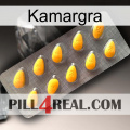 Kamargra cialis1